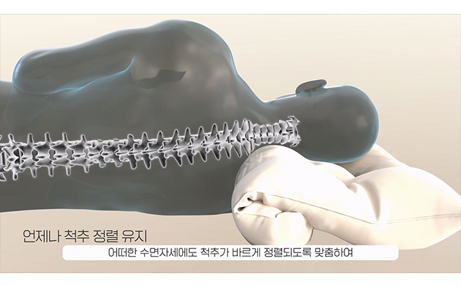 네오루틴 - 맞춤 배게