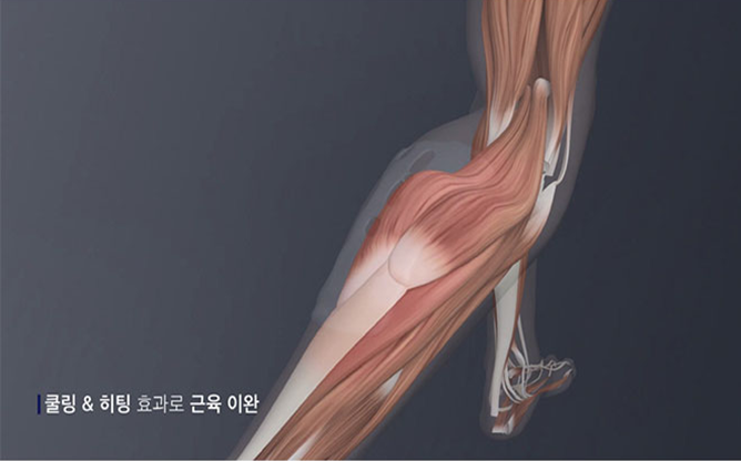 (주)닥터티제이 - 화장품/건강기능식품 연구개발