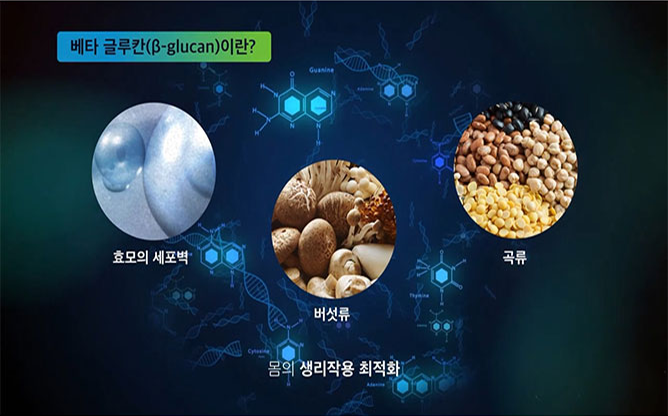 로템웰빙건강 - 배타글루칸 액상균사체