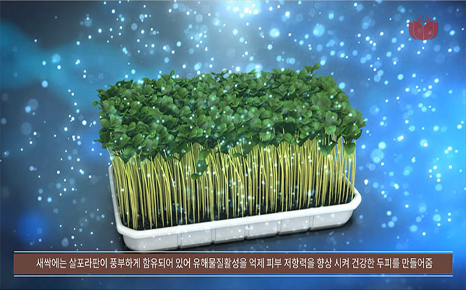 (주)애니닥터헬스케어 - 사막인삼모발력샴푸