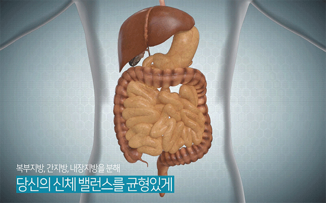 (주)휴엔 - 체중조절 건강 기능 식품