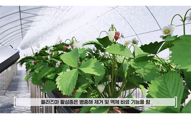 (주)팔수 - 휴대용 살균기