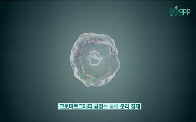바이오앱(주) - 허바백™ 돼지열병 그린마커 주