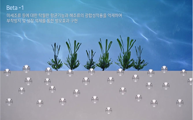 (주)에프알에스아이 - 친환경 방오 페인트