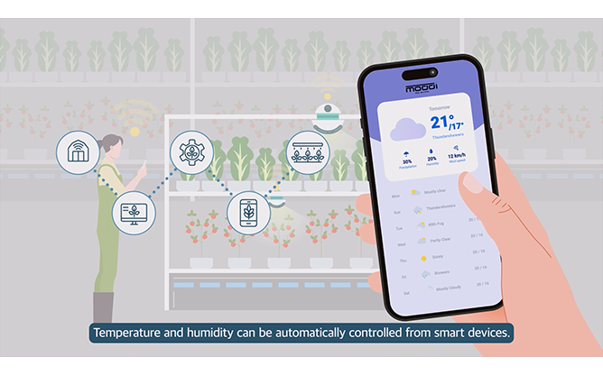 (주)모디(스마트팜) - 작물 솔루션 시스템 전문 기업