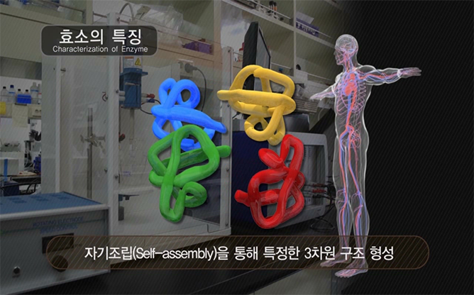 고려대학교 - 나노바이오촉매기반