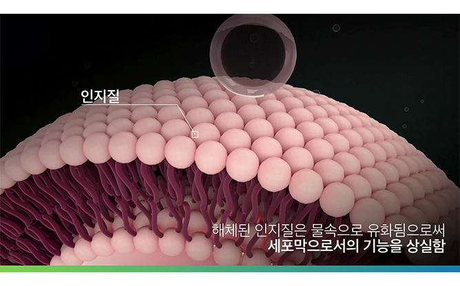 (주)유이케미칼 - 친환경 세정제·세척제