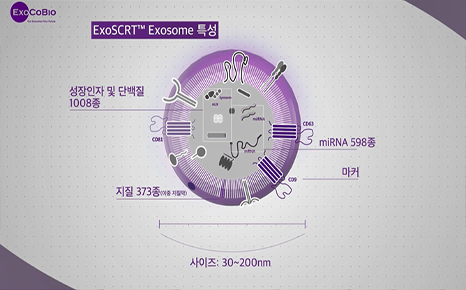 주식회사 엑소코바이오 - 줄기세포 엑소좀