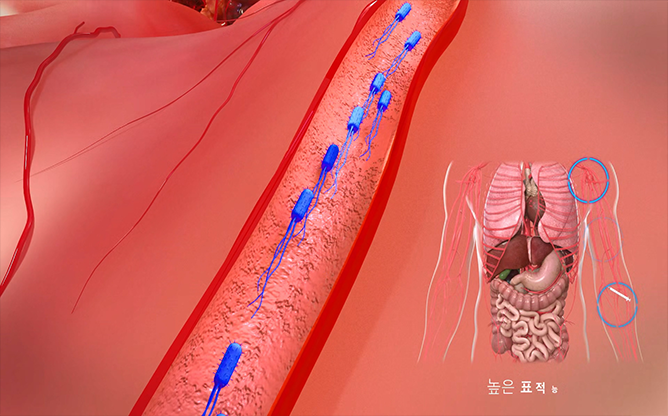 전남대학교 - 항종양 박테리아 개발