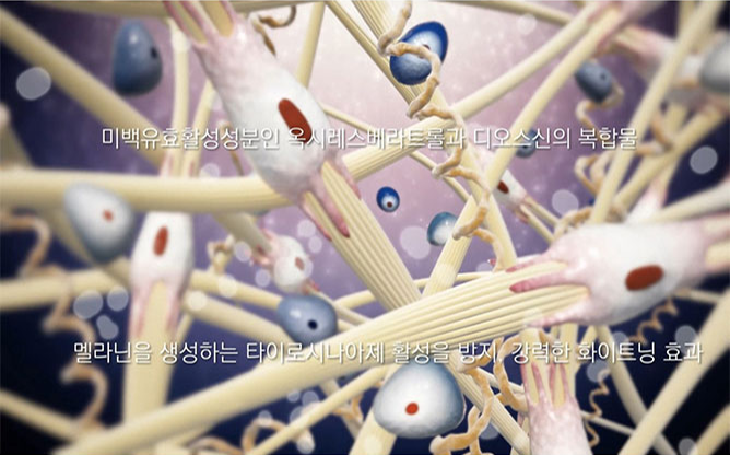 한국한의학연구원 - 피부미백용 조성물