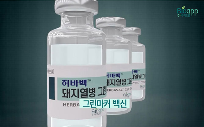 바이오앱(주) - 허바백™ 돼지열병 그린마커 주
