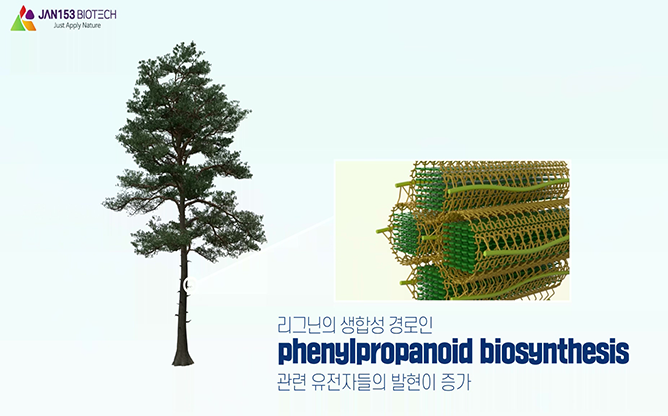 (주)잰153바이오텍 - 항공살포용 미생물