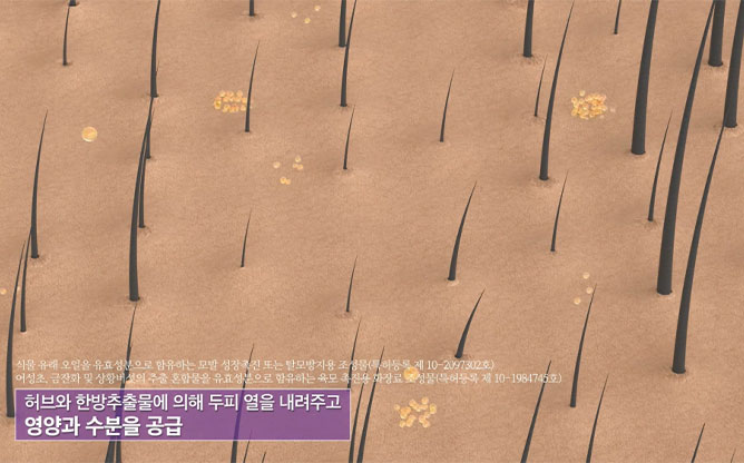 (주)하이솔 - 두피 셀프케어솔루션
