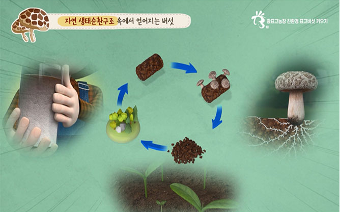 광표고농장 - 친환경 버섯재배키트