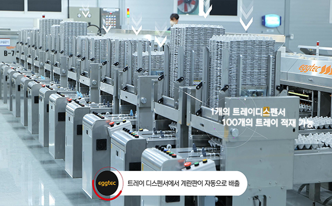 (주)에그텍 - 계란선별기