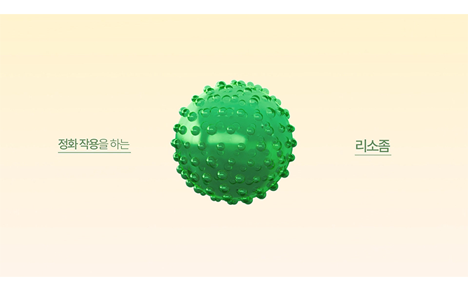 (주)오가넬 - 리소좀 화장품