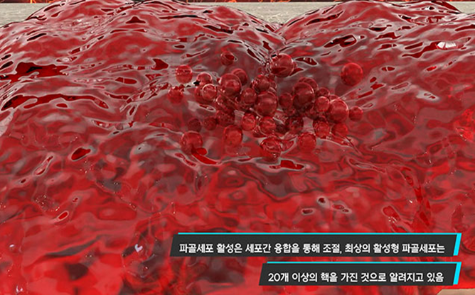 전남대학교 - 골다공증 치료용 저분자화합물