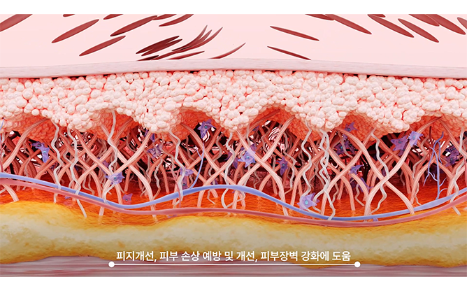 주식회사 미네랄하우스 - 더마 코스메틱 브랜드