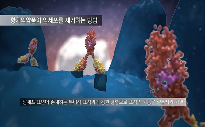 카이스트 - 글로벌항암신약항체