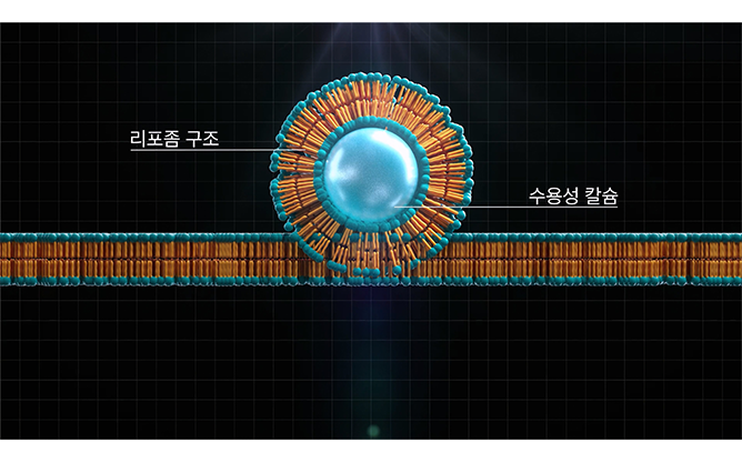 (주)케이엠에프 - 발효전문기업