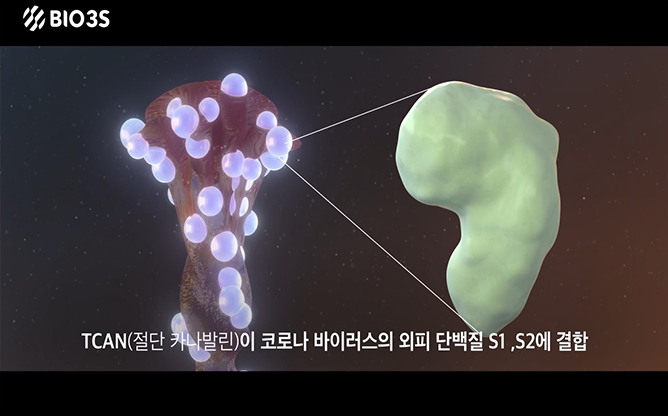 바이오쓰리에스 - 범용성 바이러스 포획 단백질 제조
