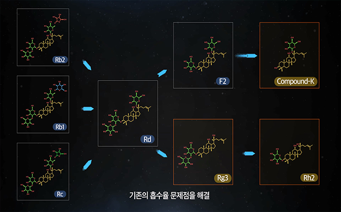 (주)비티진 - 사포닌(진세노사이드)전문