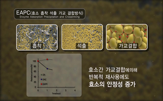 고려대학교 - 나노바이오촉매기반