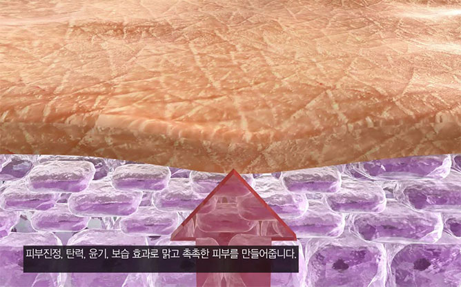 (주)유진바이오텍 - 화장품˙건강기능식품