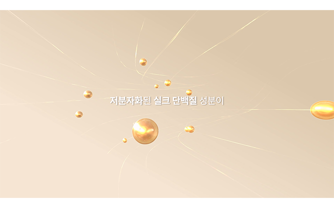 비이제이실크 - 실크제직 전문회사