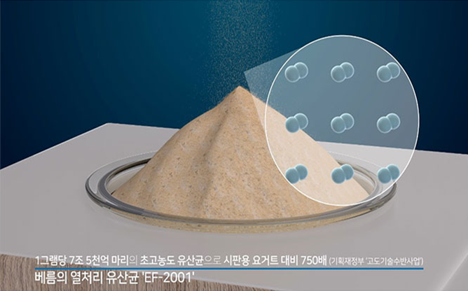 한국베름 주식회사 - 유산균 특허