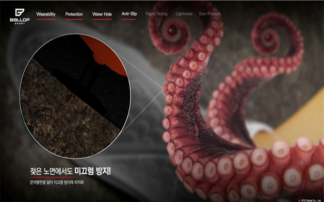 (주)지티에스글로벌 - 첨단과학신발 전문