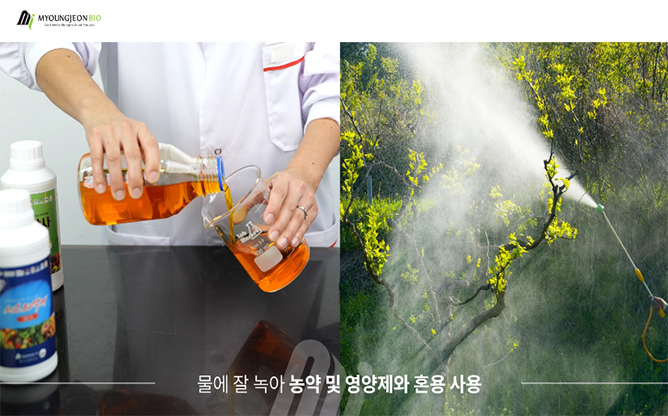 명전바이오(주) - 시스타