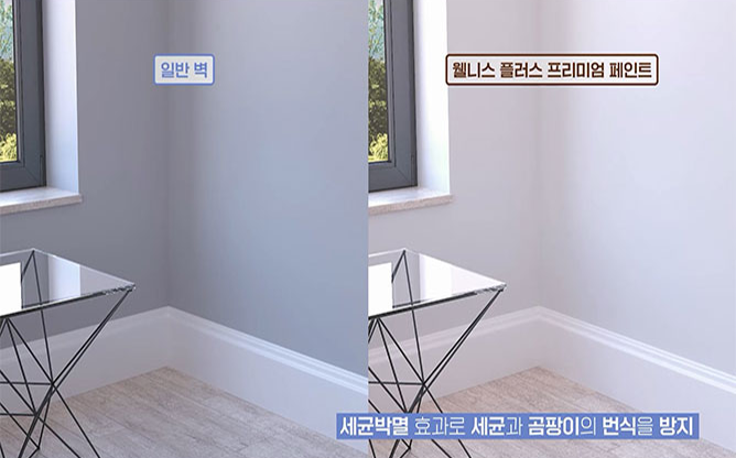 (주)천지건업 - 천연 페인트