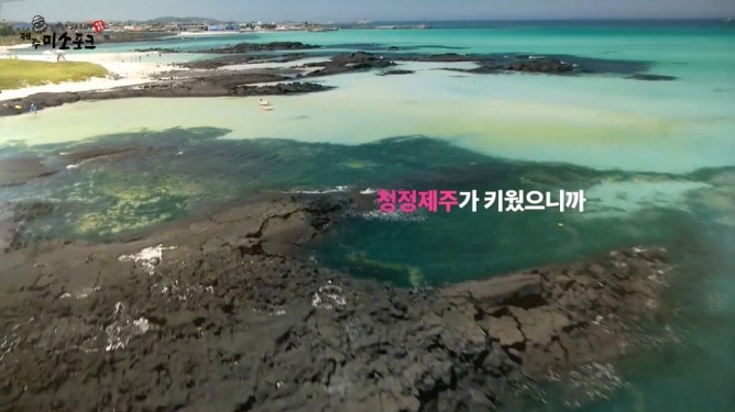 제주미소포크 - 제주축산유통전문