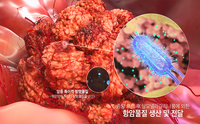 전남대학교 - 항종양 박테리아 개발