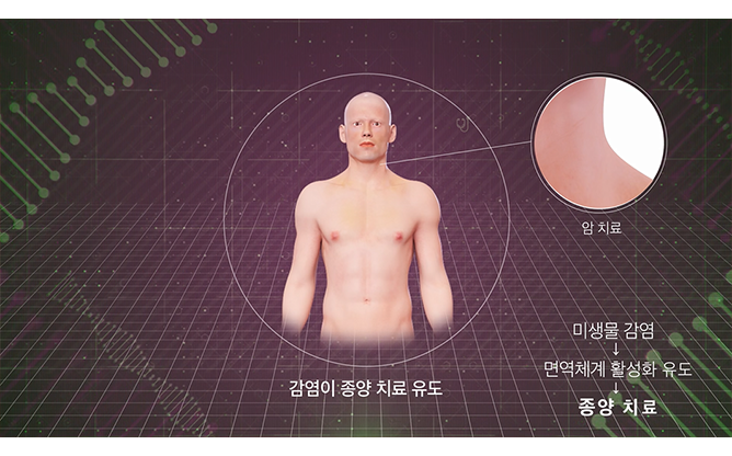 전남대학교기술지주회사(주) - 표적 항암제