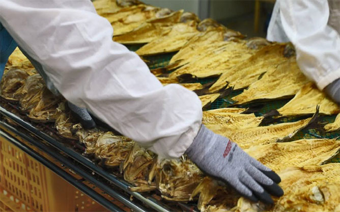 고성명태(주) - 황태