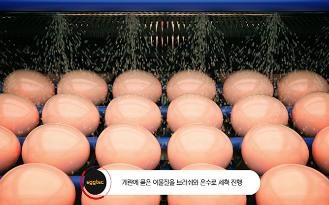 (주)에그텍 - 계란선별기