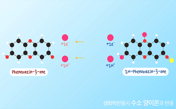 충남대학교 - 이차전지용 양극 조성물 및 이차전지