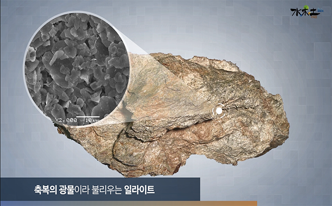 메덱스힐링 - 수목토 일라이트