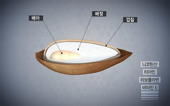 (주)유진바이오텍 - 화장품˙건강기능식품