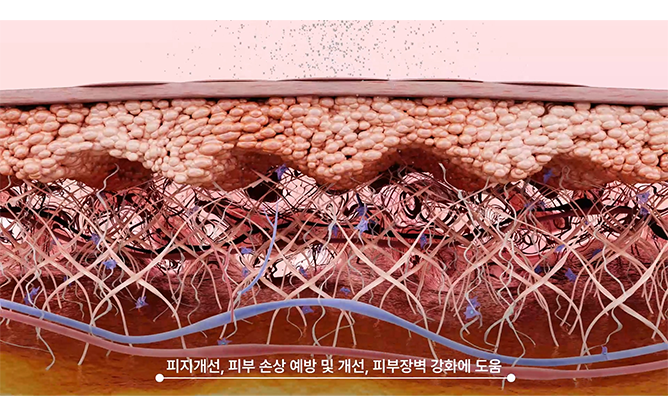 주식회사 미네랄하우스 - 더마 코스메틱 브랜드