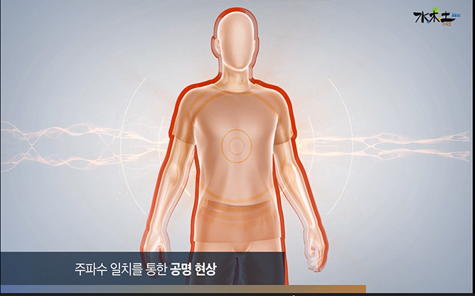 메덱스힐링 - 수목토 일라이트