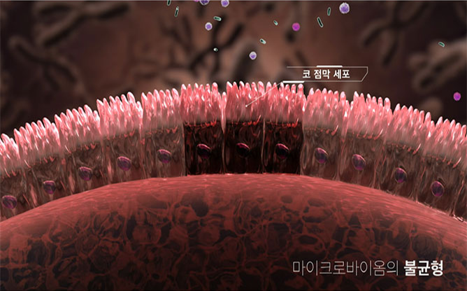 (주)프로바이오닉 - 유산균 전문업체