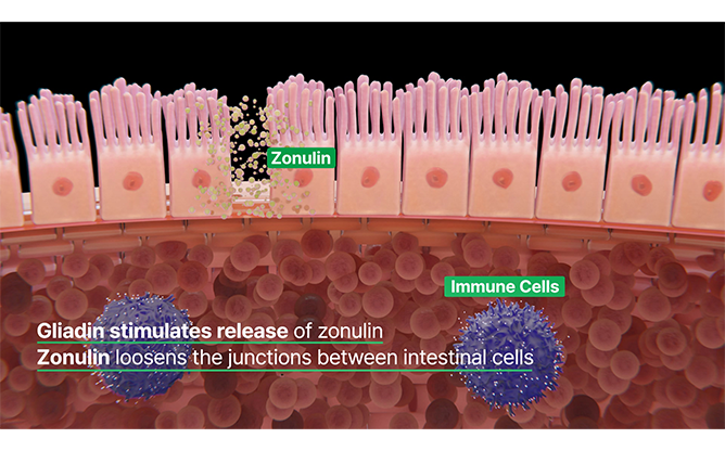 엔피케이(주)-효소식품