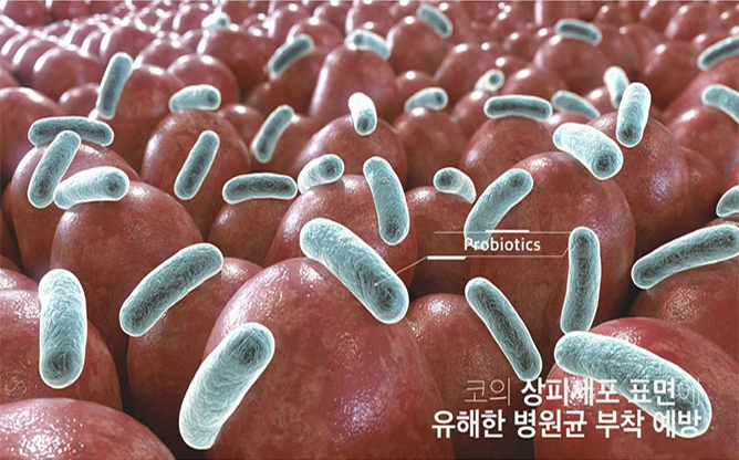 (주)프로바이오닉 - 유산균 전문업체