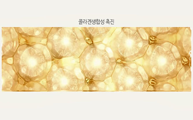 (주)유앤아이제주 - 트리플 클렌징 오일