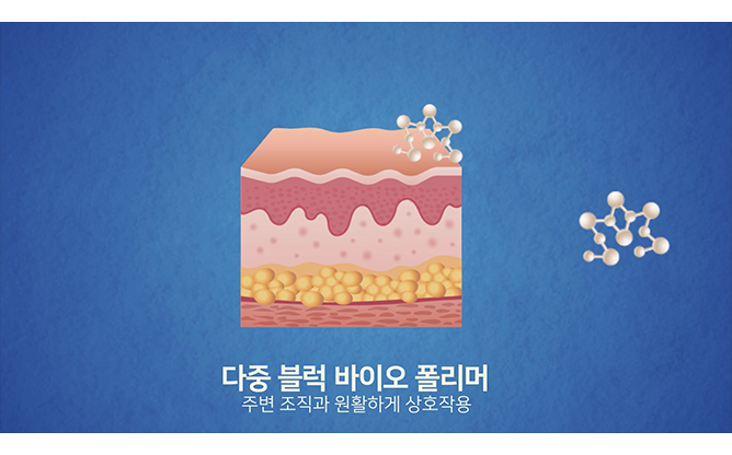 대구경북과학기술원 - 생체줄기세포