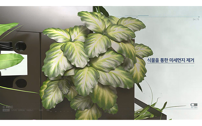 제코비 - 수경 재배 장치