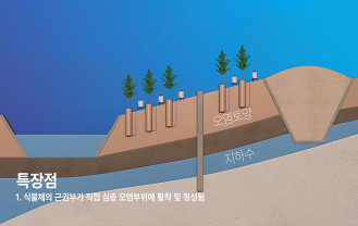 한국기술거래사회 - 식물 환경 복원 시스템